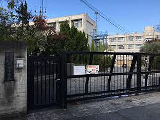 羽曳野市立峰塚中学校(約2,000m)