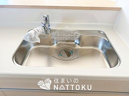 浄水器内臓ハンドシャワー付シンク