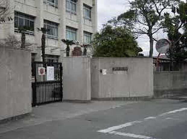 和歌山市立木本小学校（約270m）