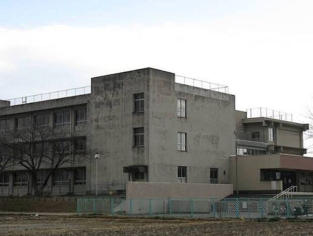 堺市立野田小学校（約980m）