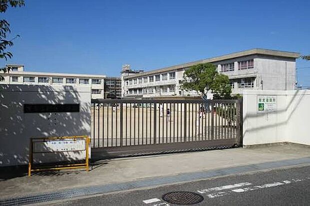 堺市立向丘小学校（約950m）
