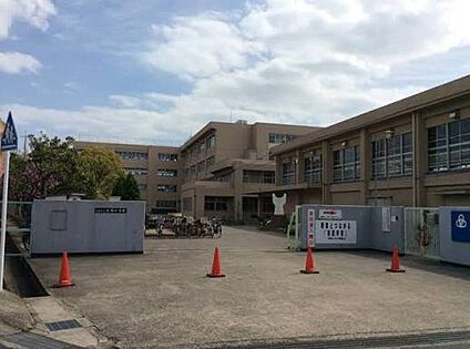 宇治市立大開小学校 1000ｍ(徒歩13分)