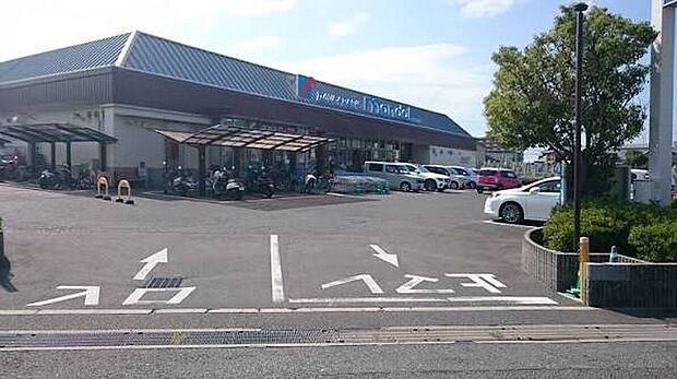 万代泉佐野貝田店(約1,500m)