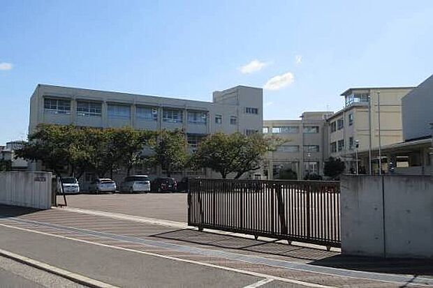 堺市立上野芝中学校（約1,500m）