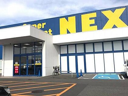 NEX岩出中迫店 270ｍ(徒歩4分)