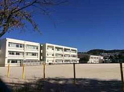 八幡市立橋本小学校 1600ｍ(徒歩20分)