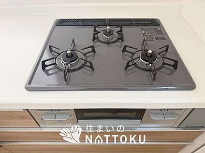 浄水器内臓ハンドシャワー付シンク