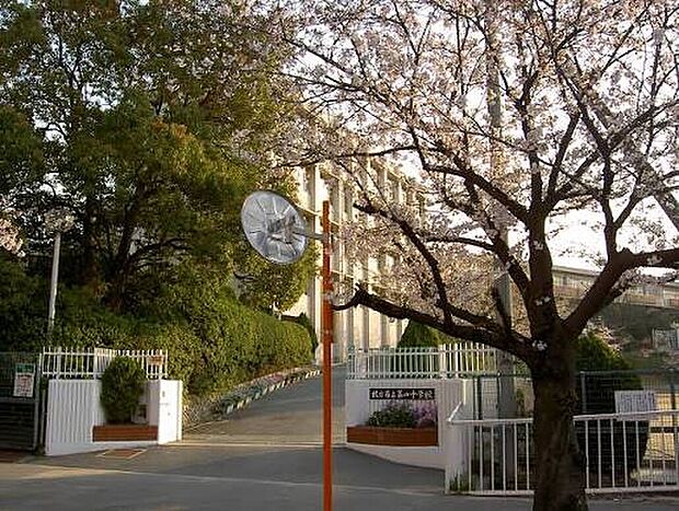 枚方市立第四中学校(約550m)