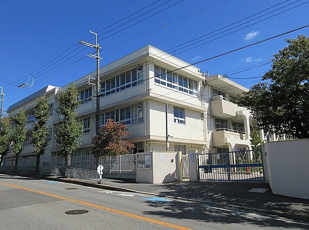 池田市立秦野小学校(約797m)