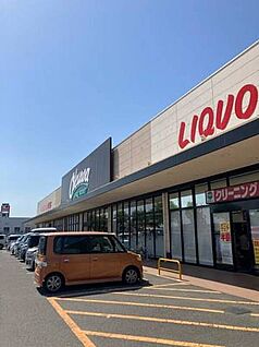 オークワ岩出西店 790ｍ(徒歩10分)