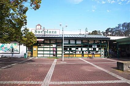 サンプラザさつき野店 1100ｍ(徒歩14分)