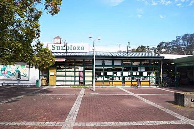 サンプラザさつき野店(約1,100m)