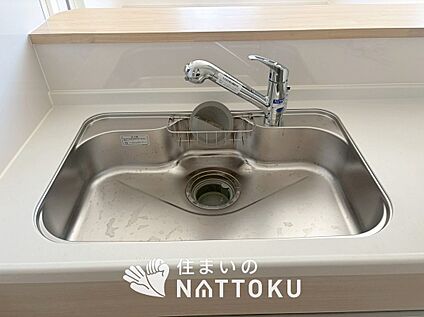浄水器内臓ハンドシャワー付シンク