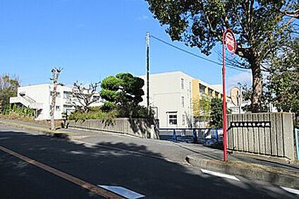 堺市立赤坂台小学校 818ｍ(徒歩11分)