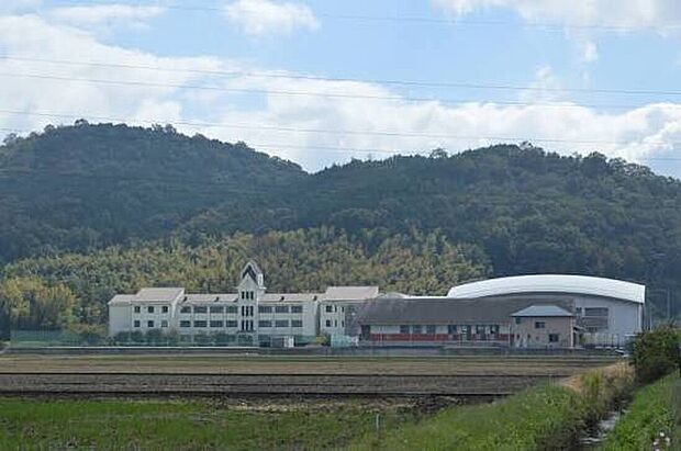 近江八幡市立安土中学校(約1,200m)
