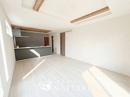 現地写真(リビング)