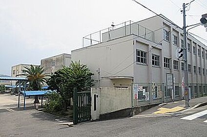 藤井寺市立道明寺東小学校 300ｍ(徒歩4分)