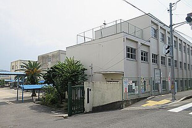 藤井寺市立道明寺東小学校（約300m）