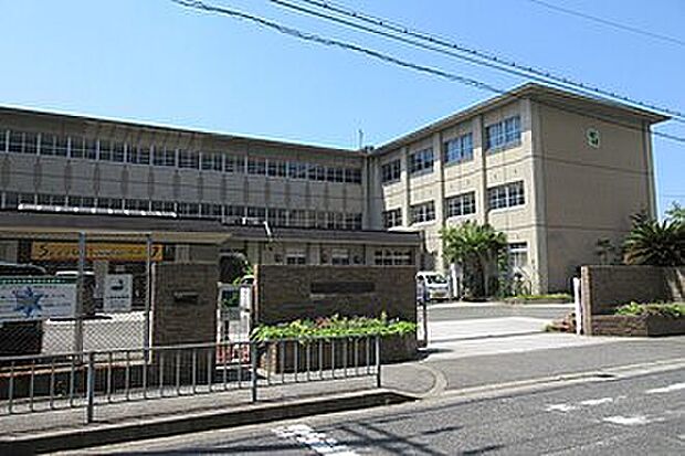 岸和田市立野村中学校(約1,000m)