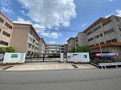 豊中市立第十二中学校 900ｍ(徒歩12分)