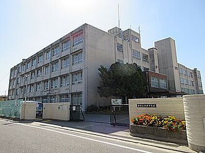堺市立平井中学校 800ｍ(徒歩10分)