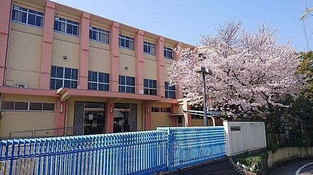 柏原市立国分小学校（約520m）