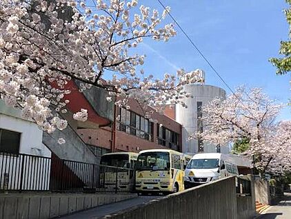 さかいだに幼稚園 360ｍ(徒歩5分)