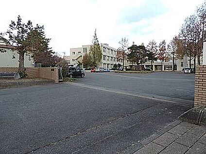 東近江市立聖徳中学校 1300ｍ(徒歩17分)