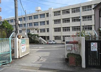 羽曳野市立高鷲南中学校 1100ｍ(徒歩14分)