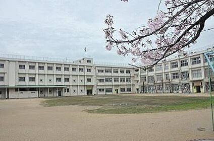 高石市立高石小学校 620ｍ(徒歩8分)