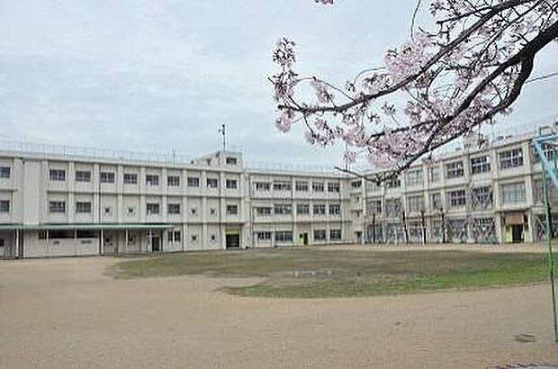 高石市立高石小学校（約620m）