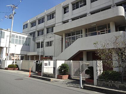 羽曳野市立古市小学校 1100ｍ(徒歩14分)