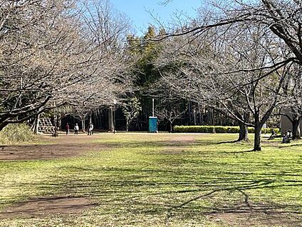 新山公園 1020ｍ(徒歩13分)