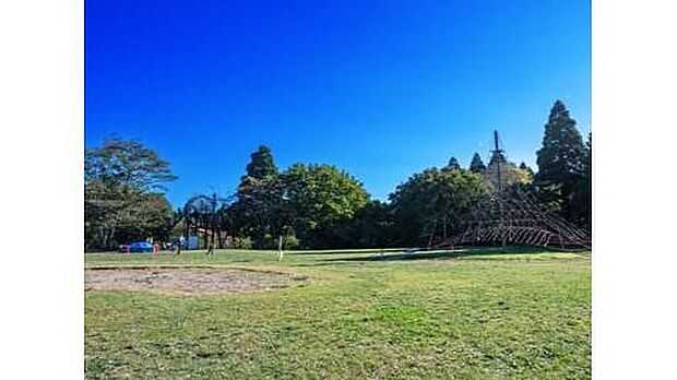 千葉昭和の森（約2,300m）