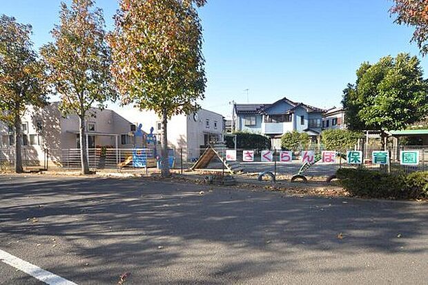 さくらんぼ保育園（約150m）