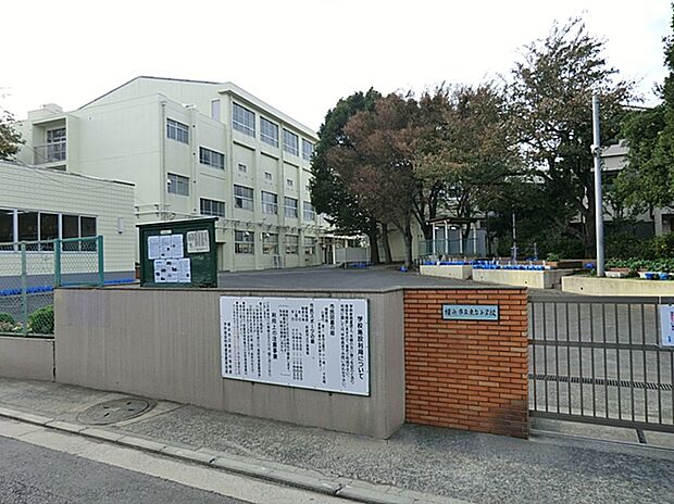 横浜市立東台小学校(約350m)