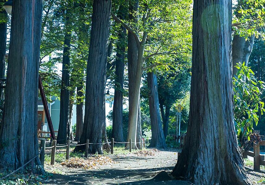 【その他】宇都宮記念公園仲よし広場