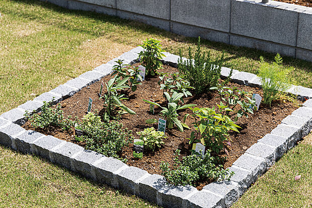 【【家庭菜園スペース】】好きな野菜や花を育てられるポタジェ。収穫した野菜を料理に加えれば子どもの食育にもつながるサスティナブルな家庭菜園スペースです。