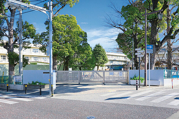 真間小学校(現地より徒歩7分)