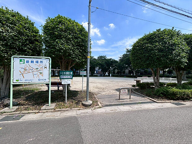 安行天沼公園（約20m）
