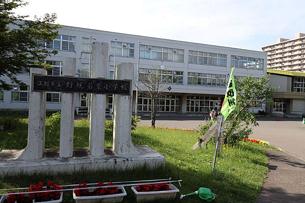 野幌若葉小学校（約800m）