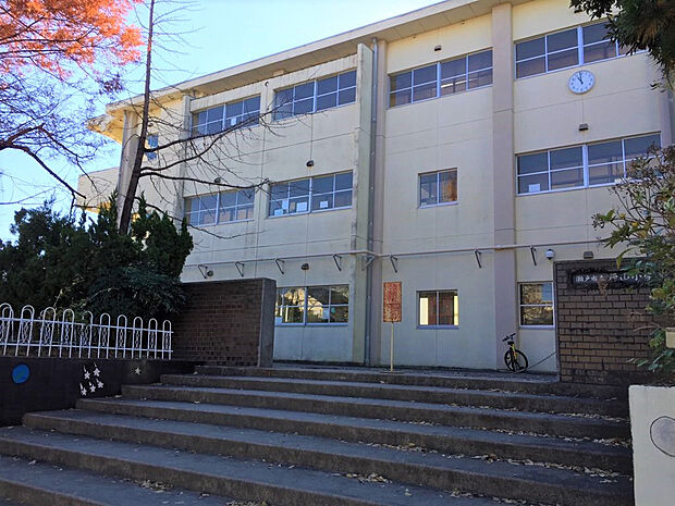 原山小学校（約593m）