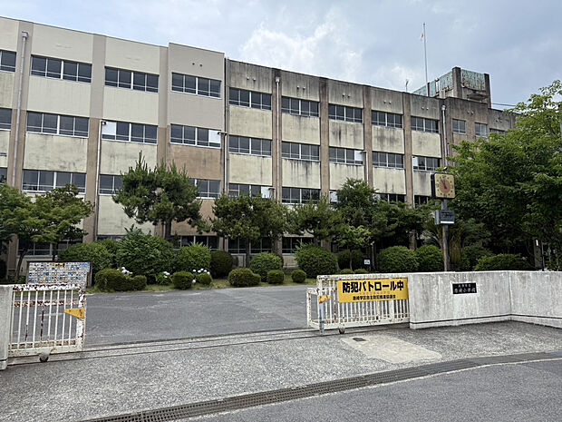 大津市立唐崎小学校（約800m）