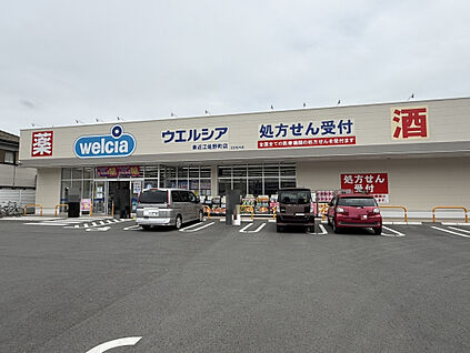 【ウェルシア東近江佐野町店】 1100m