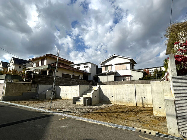 2025年11月中旬撮影