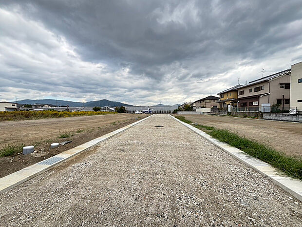 2025年10月下旬現地撮影