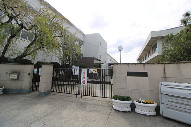 市立佐保小学校（約191m）