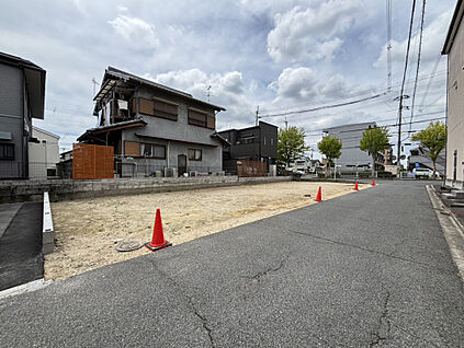 2026年6月下旬現地撮影