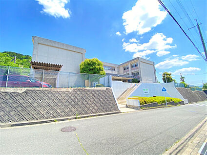 市立光明中学校 987m