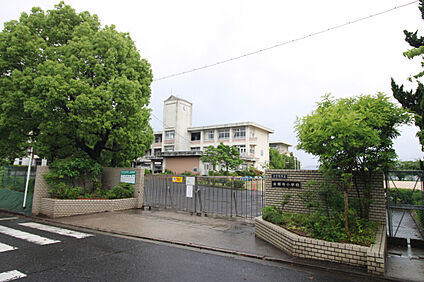 金剛寺小学校 900m